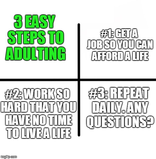 Illustration for article titled Adulting.....